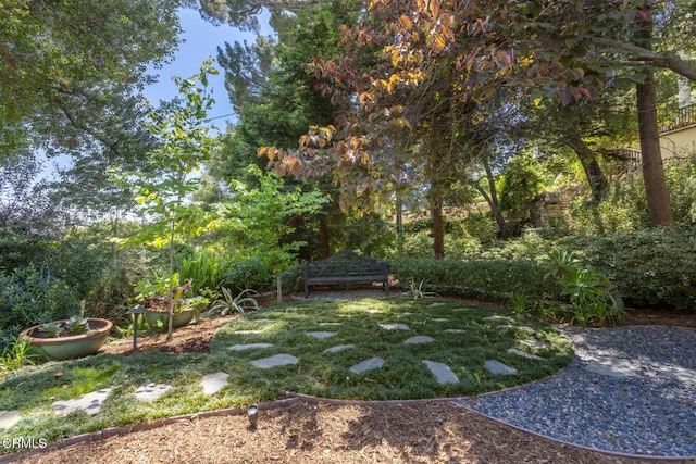 1040 Hillcroft Rd, Glendale, CA 91207 - view of grassy yard