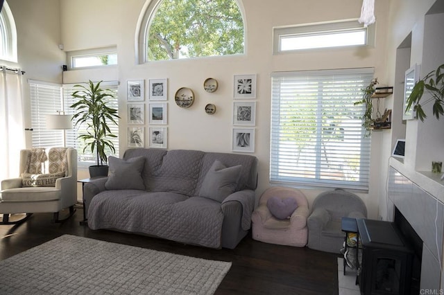 29517 Cara Way, Temecula, CA 92591 - living area featuring a high ceiling and wood finished floors