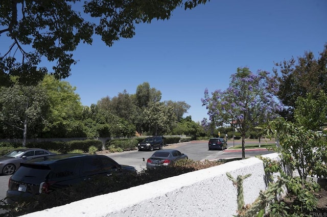 29517 Cara Way, Temecula, CA 92591 - view of asphalt road