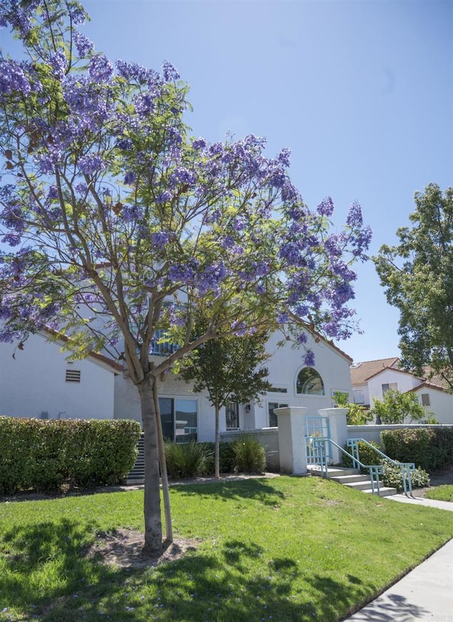 29517 Cara Way, Temecula, CA 92591 - view of front of home featuring stucco siding and a front lawn