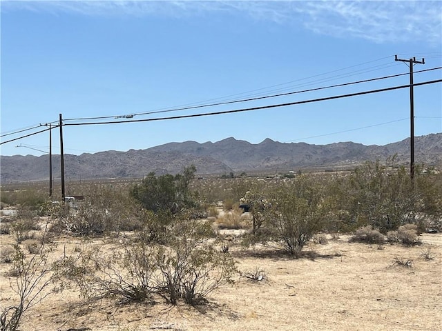 7777 Twentynine Palms, Joshua Tree, CA 92252 - photo 8