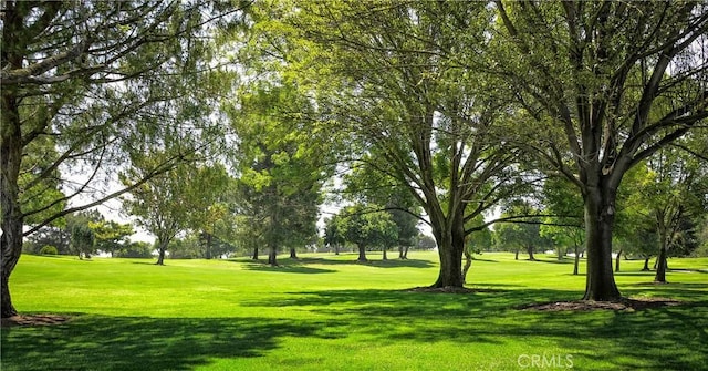 5490 Paseo Del Lago W Unit P, Laguna Woods, CA 92637 - view of community featuring a yard