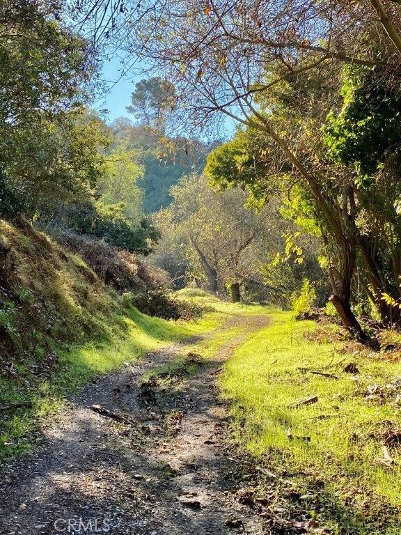 9 Reata Ln, Rolling Hills, CA 90274 - photo 61