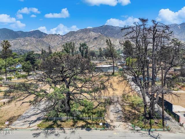 323 Marathon Rd, Altadena, CA 91001