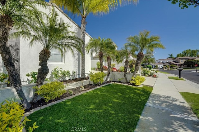 53 Via Palacio, San Clemente, CA 92673 - view of grassy yard
