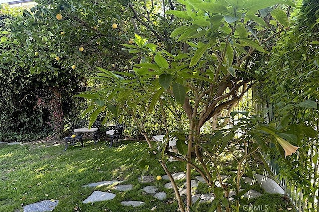 12744 Sarah St, Studio City, CA 91604 - photo 4