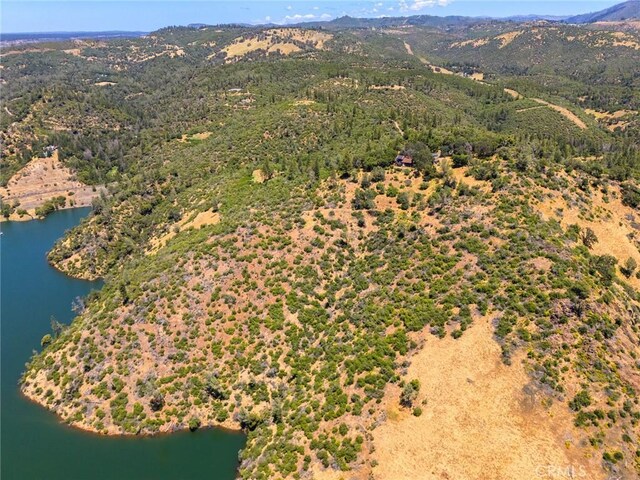 188 Patton Peak Rd, Oroville, CA 95965 - photo 34