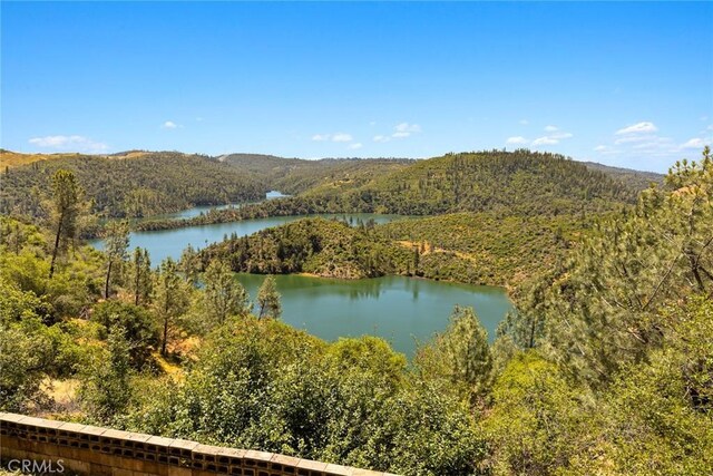 188 Patton Peak Rd, Oroville, CA 95965 - photo 21