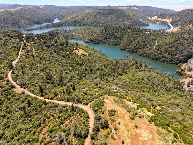 188 Patton Peak Rd, Oroville, CA 95965 - photo 36
