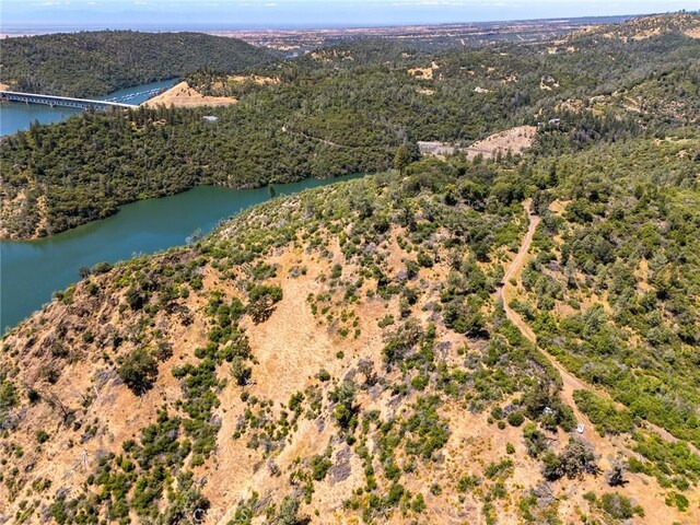 188 Patton Peak Rd, Oroville, CA 95965 - photo 35