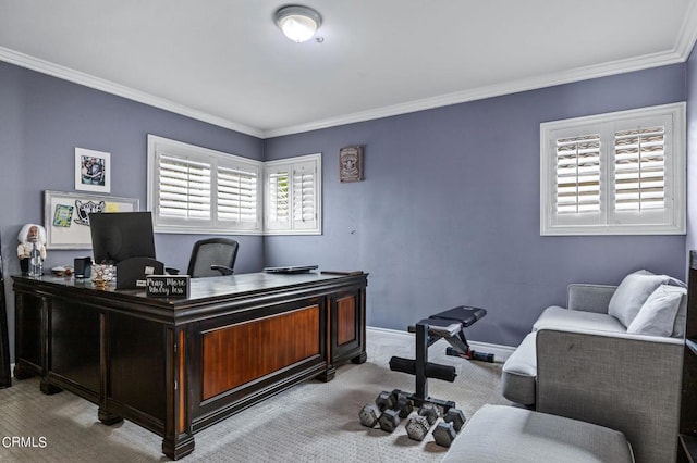 2561 Upper Bay Dr, Oxnard, CA 93036 - office area featuring carpet flooring and crown molding