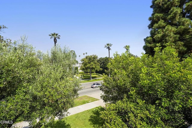 630 S Orange Grove Blvd Unit 5, Pasadena, CA 91105 - view of home's community