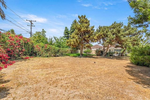 10527 S Wilton Pl, Los Angeles, CA 90047 - view of yard