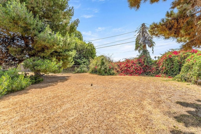10527 S Wilton Pl, Los Angeles, CA 90047 - view of yard