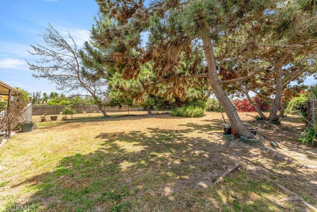 10527 S Wilton Pl, Los Angeles, CA 90047 - view of yard