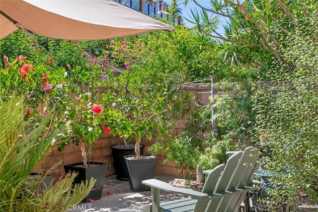 29411 Port Royal Way, Laguna Niguel, CA 92677 - fenced backyard with a patio