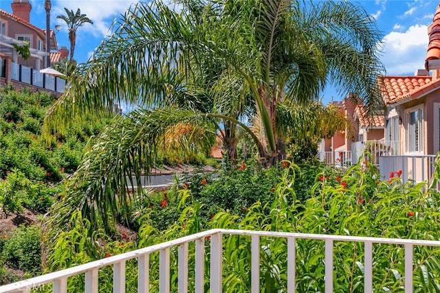 29411 Port Royal Way, Laguna Niguel, CA 92677 - view of yard
