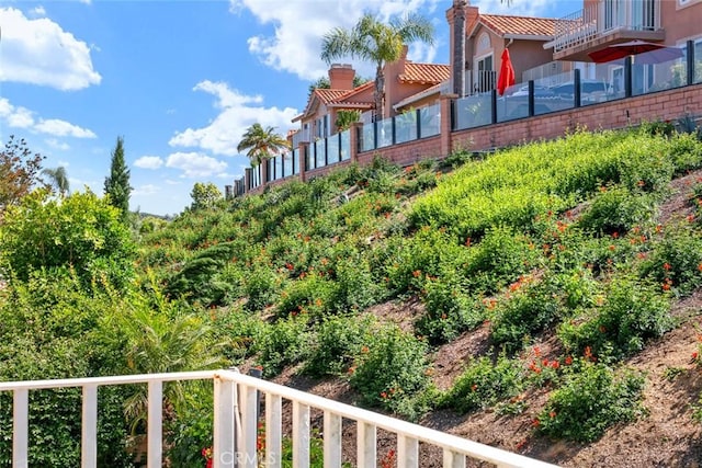 29411 Port Royal Way, Laguna Niguel, CA 92677 - view of yard featuring a balcony