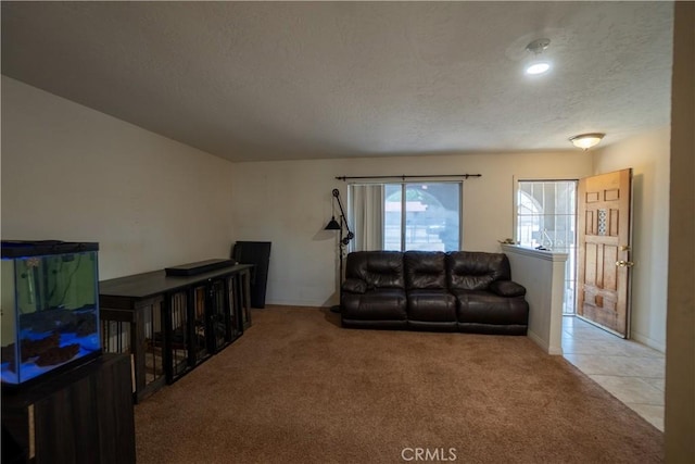 7681 Newhall Ave, Hesperia, CA 92345 - carpeted living area featuring a textured ceiling
