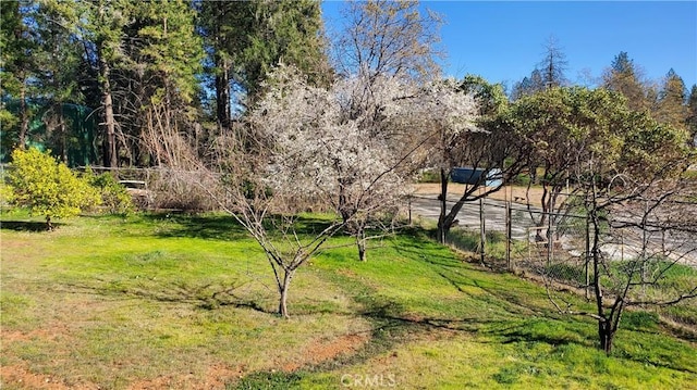504 Nunneley Rd, Paradise, CA 95969
