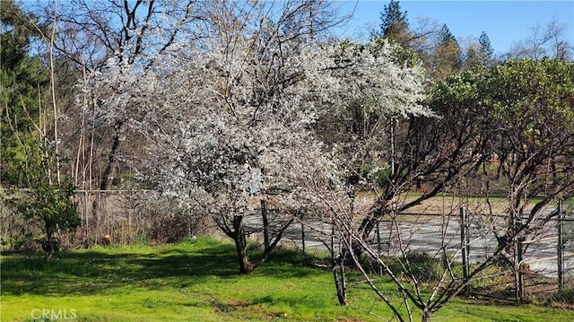 504 Nunneley Rd, Paradise, CA 95969