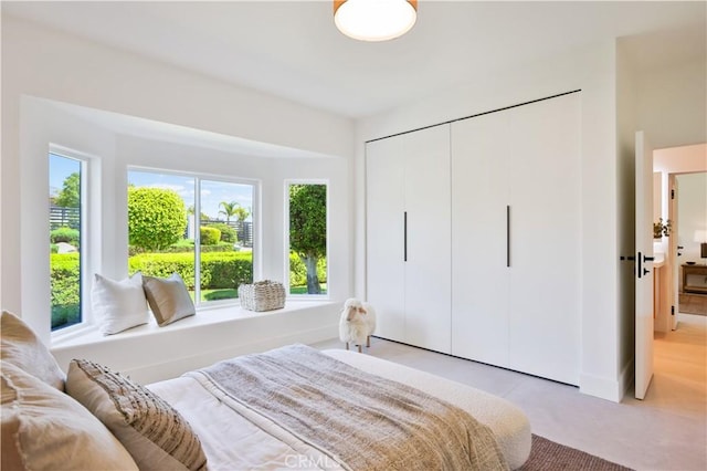 1257 Fetlock Way, Riverside, CA 92506 - bedroom featuring a closet and light carpet