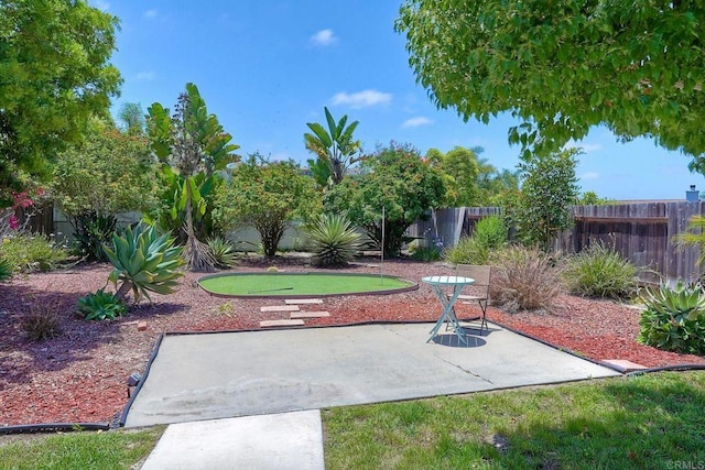 1219 Paseo Hermosa, Oceanside, CA 92056 - fenced backyard with an area to practice putting and a patio area