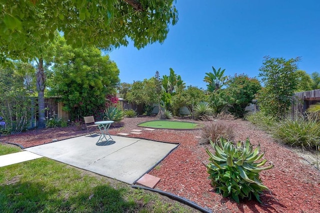 1219 Paseo Hermosa, Oceanside, CA 92056 - fenced backyard featuring an area to practice putting and a patio