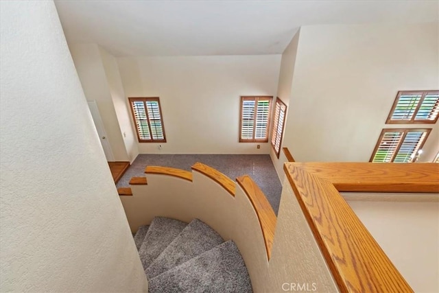 10151 Saddlehill Ter, Rancho Cucamonga, CA 91737 - stairs featuring carpet