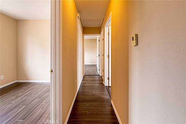 1125 Linden Ave, Long Beach, CA 90813 - photo 3