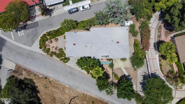 1225 Church St, Pasadena, CA 91105 - photo 22