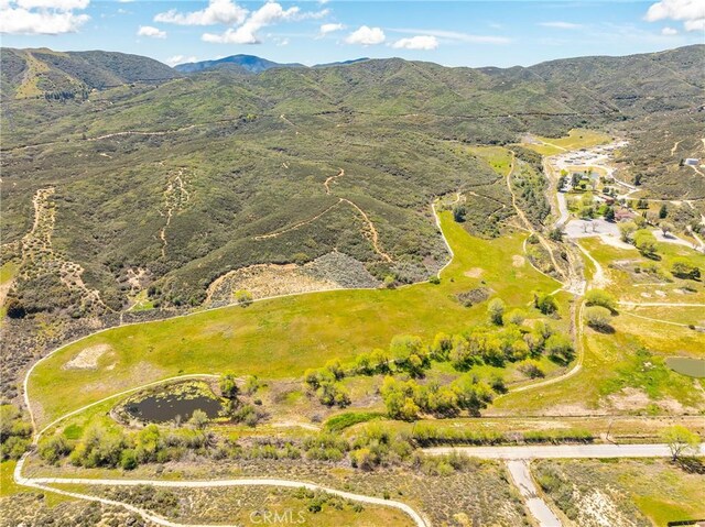 14780 Elizabeth Lake Rd, Lake Elizabeth, CA 93532 - photo 11