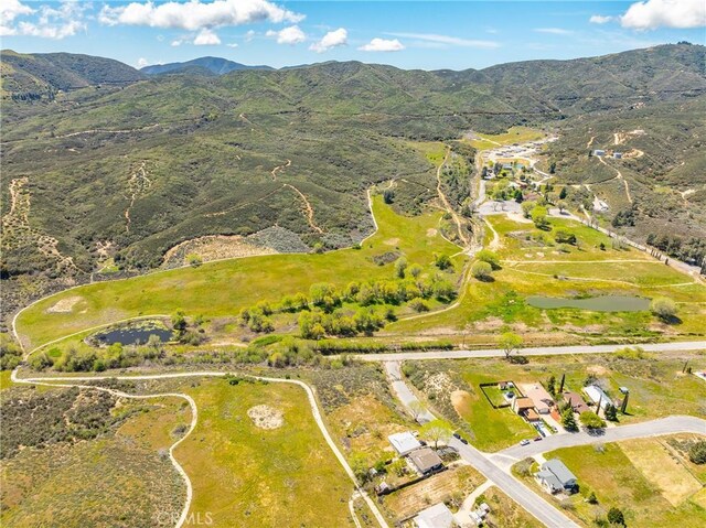 14780 Elizabeth Lake Rd, Lake Elizabeth, CA 93532 - photo 8