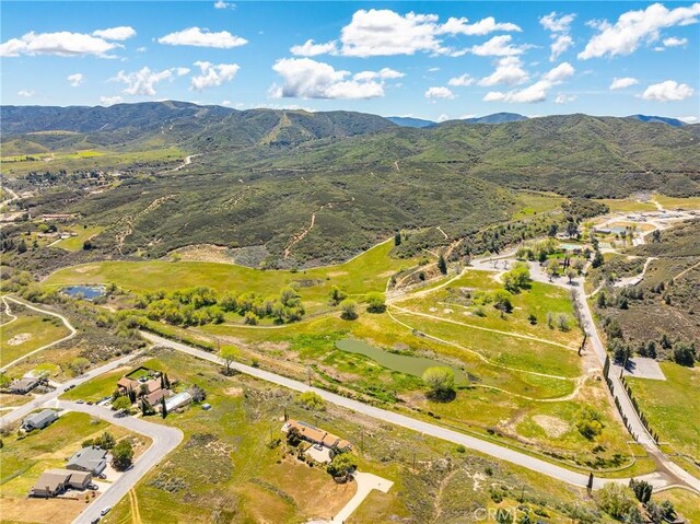 14780 Elizabeth Lake Rd, Lake Elizabeth, CA 93532 - photo 13