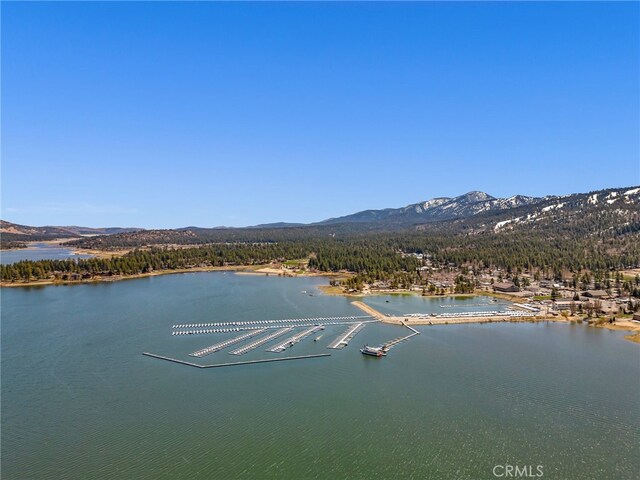 329 E Sherwood Blvd, Big Bear City, CA 92314 - photo 23