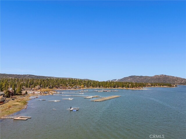 329 E Sherwood Blvd, Big Bear City, CA 92314 - photo 24
