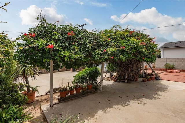 2322 W 156th St, Gardena, CA 90249 - view of yard featuring a patio