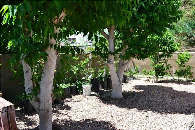 31811 Whispering Palms Trl, Cathedral City, CA 92234 - view of fenced backyard