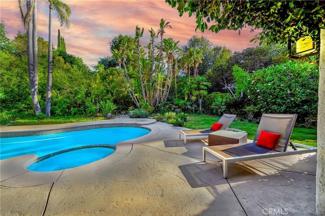 3811 Algonaut Dr, Calabasas, CA 91302 - outdoor pool with a patio area