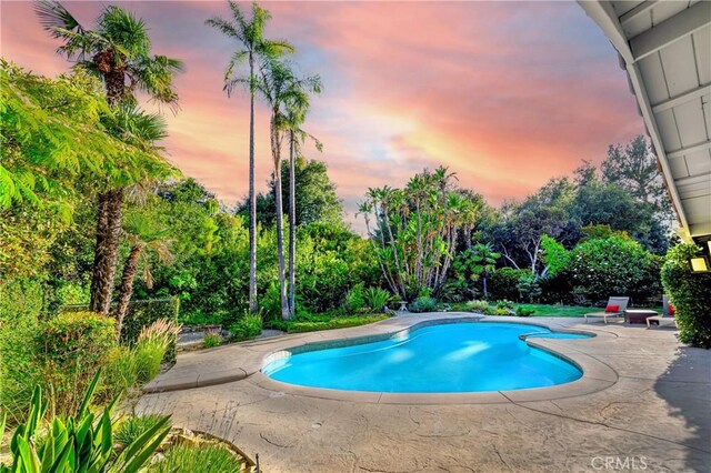 3811 Algonaut Dr, Calabasas, CA 91302 - swimming pool featuring a patio and view of scattered trees