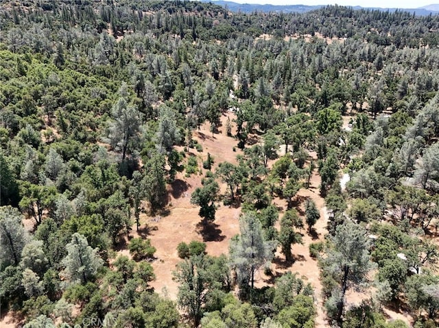 6528 Miller Ranch Rd, Mountain Ranch, CA 95246 - photo 6
