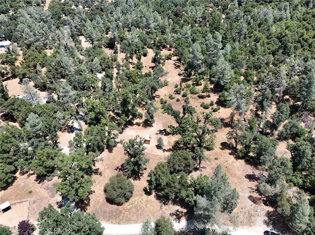 6528 Miller Ranch Rd, Mountain Ranch, CA 95246 - photo 8