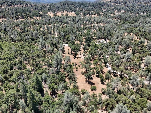 6528 Miller Ranch Rd, Mountain Ranch, CA 95246 - photo 11