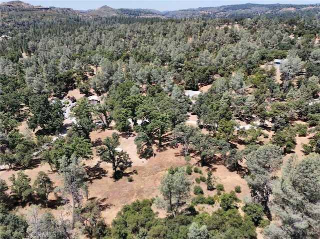 6528 Miller Ranch Rd, Mountain Ranch, CA 95246 - photo 5