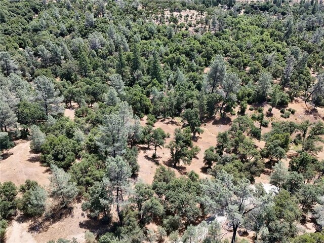 6528 Miller Ranch Rd, Mountain Ranch, CA 95246 - photo 10