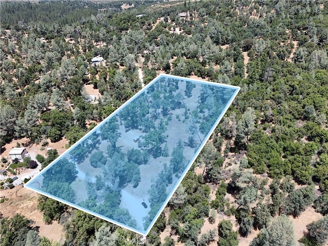 6528 Miller Ranch Rd, Mountain Ranch, CA 95246 - photo 2