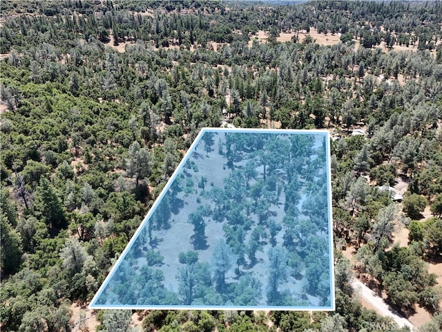 6528 Miller Ranch Rd, Mountain Ranch, CA 95246 - photo 4