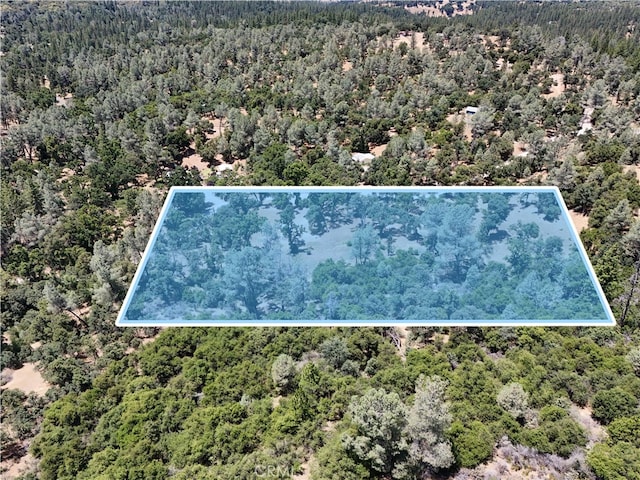 6528 Miller Ranch Rd, Mountain Ranch, CA 95246 - photo 3
