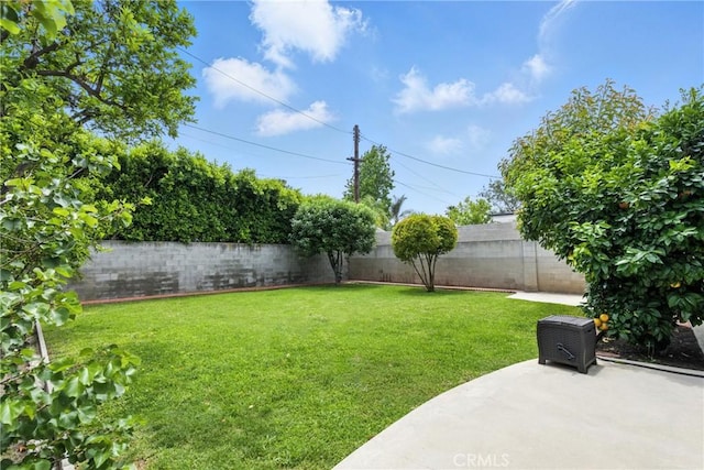 12516 Archwood St, North Hollywood, CA 91606 - fenced backyard with a patio area