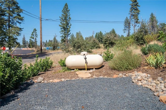 6354 Berkshire Ave, Paradise, CA 95969 - view of yard